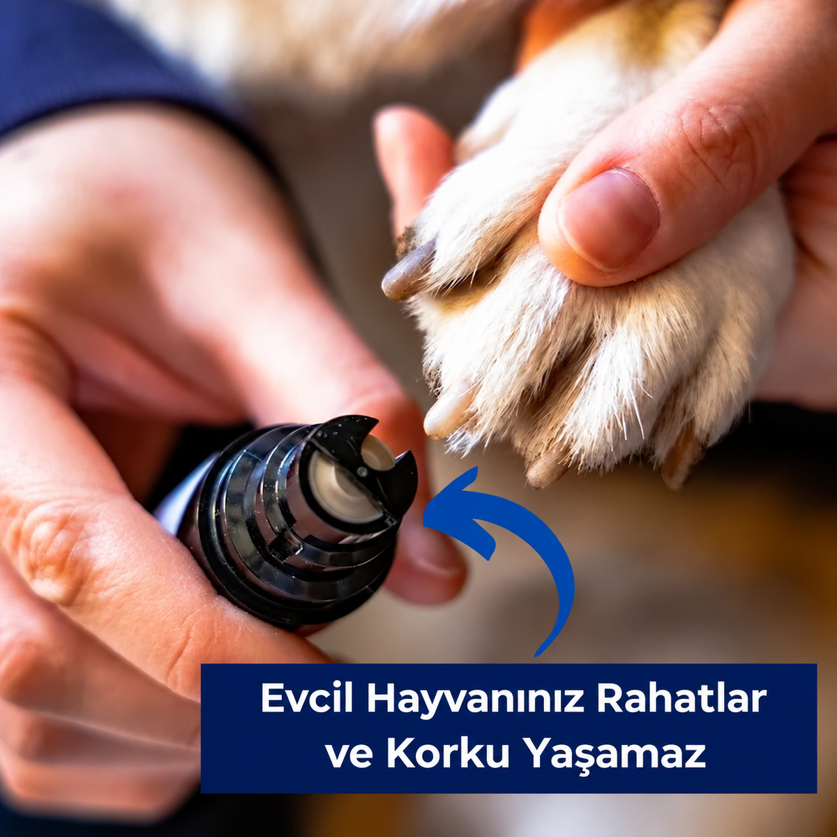 Pingoza™ Evcil Hayvan Tırnak Törpü Aleti